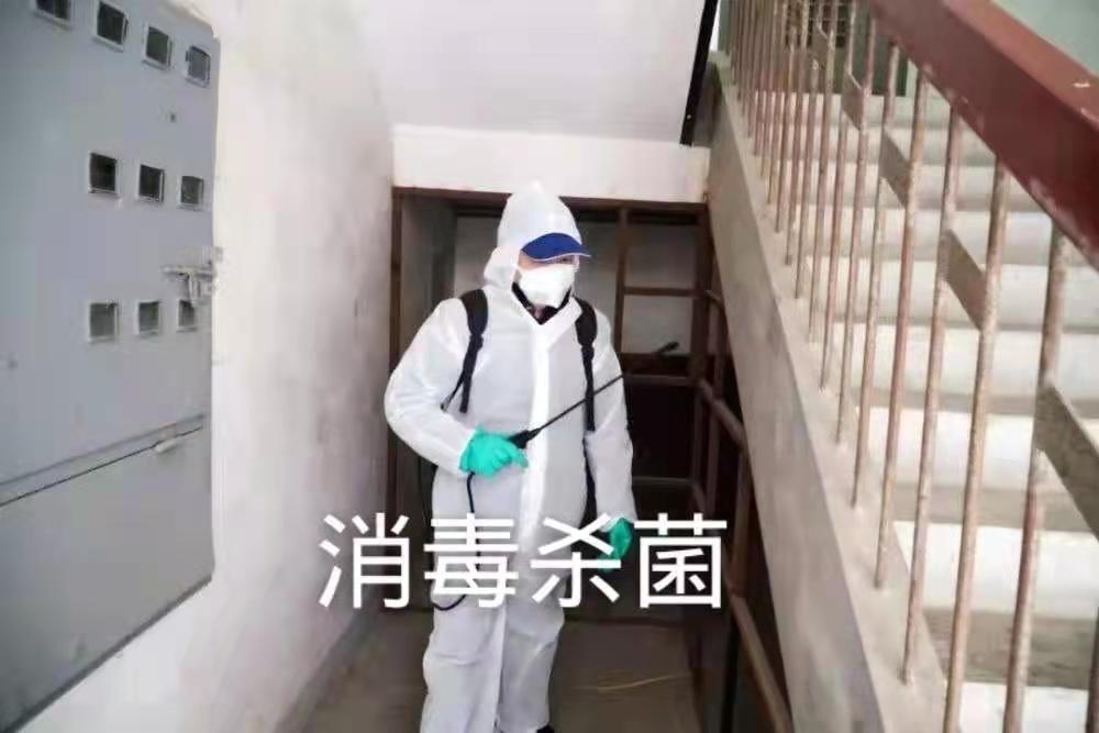 消毒殺菌，滅四害，青園小學(xué)消毒殺菌已完成！